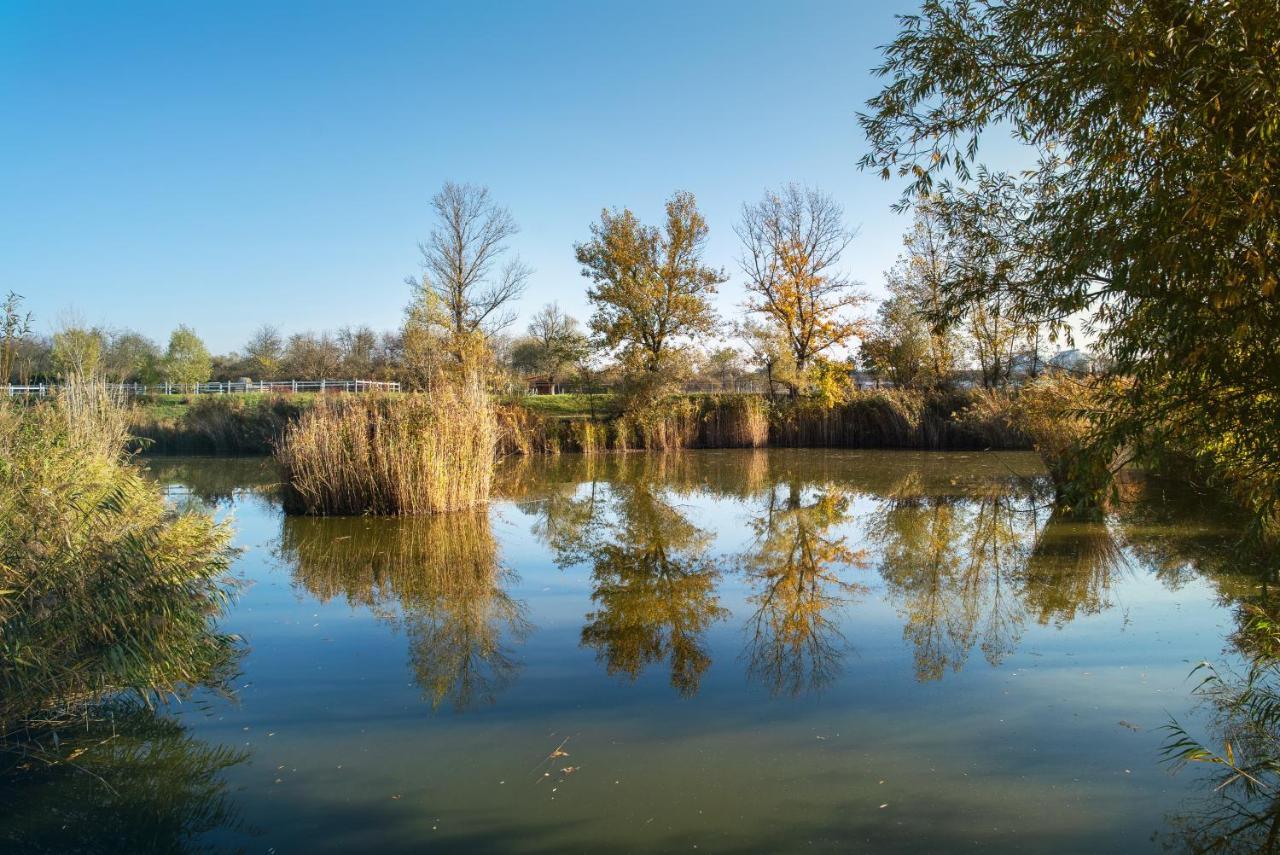Csodaszarvas Vendeghazak Rabahidveg Экстерьер фото